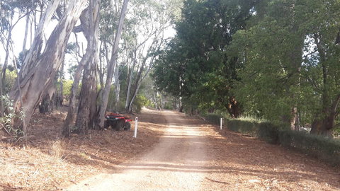 Taralee Orchards - Events Australia 4