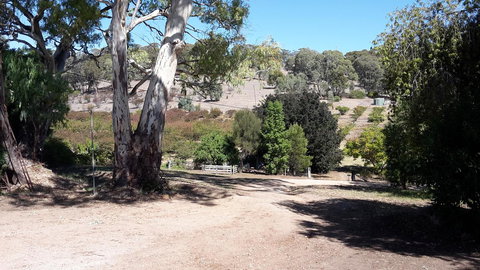 Taralee Orchards - Events Australia 3