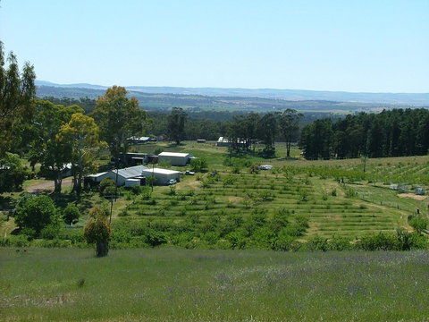 Taralee Orchards - Events Australia 0