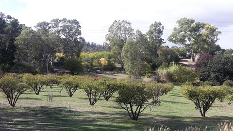 Taralee Orchards - Events Australia 1