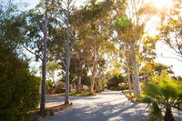 Book Tumby Bay Accommodation Vacations Events Australia Events Australia