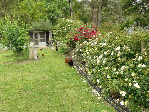 Camawald Coonawarra Cottage B&B - Events Australia 3