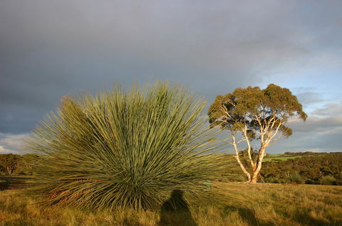 Ecopia Retreat - Events Australia 23