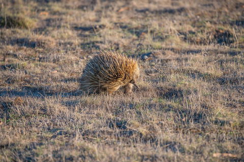 Ecopia Retreat - Events Australia 7