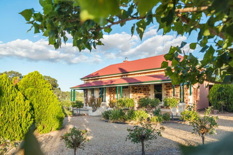 Barossa Shiraz Estate - Tourism Bookings 0