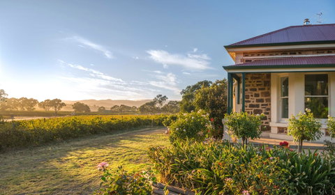 Barossa Shiraz Estate - Tourism Bookings 6