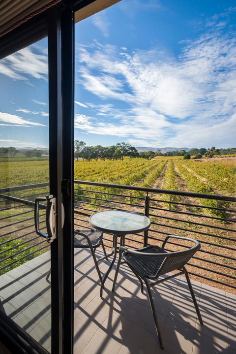 Barossa Shiraz Estate - Tourism Bookings 33