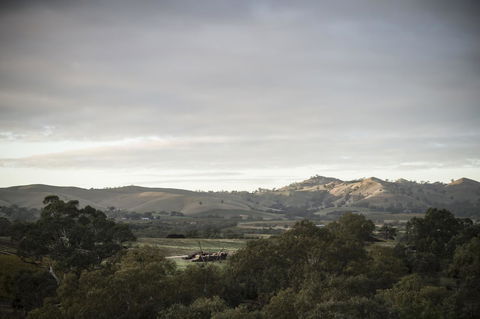 Novotel Barossa Valley Resort - Events Australia 23