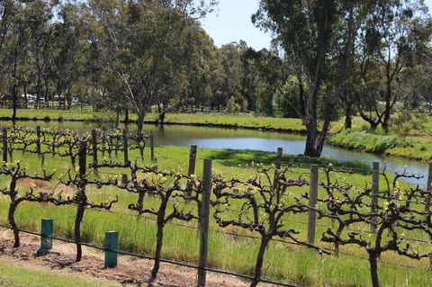 OXENBERRY FARM - Events Australia 19
