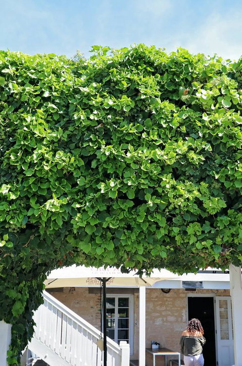 Caledonian Inn - Events Australia 21