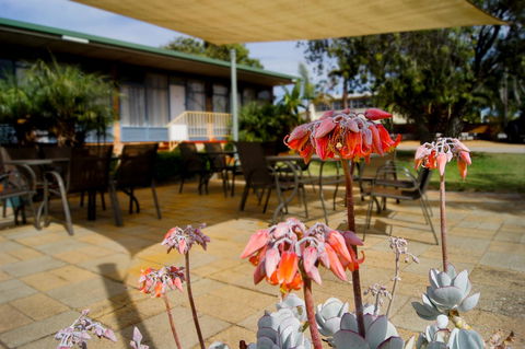 Kangaroo Island Seaview Motel - Tourism Bookings 3