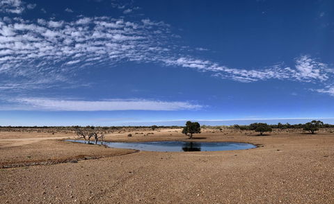 Opal Inn Hotel, Motel, Caravan Park - Events Australia 10