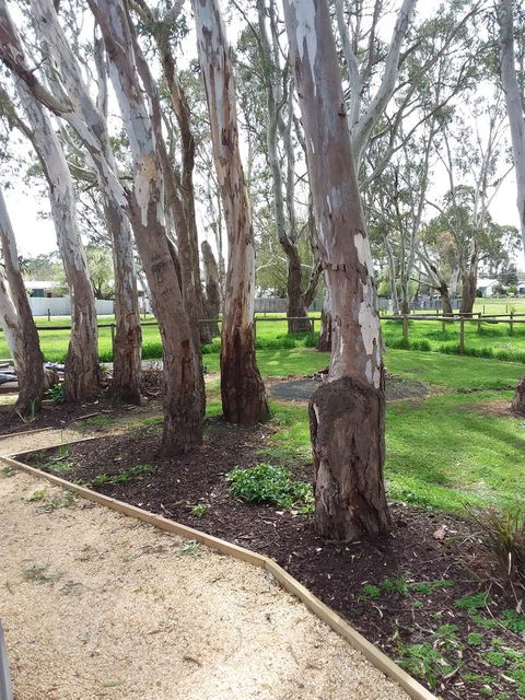 Cloisters Of Kalangadoo - Events Australia 6