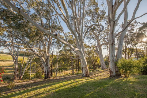 Discovery Parks - Hahndorf - Accommodation Europe 4