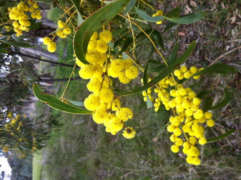 Clare Valley Cabins - Events Australia 31