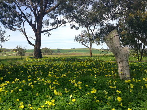 Clare Valley Cabins - Events Australia 14