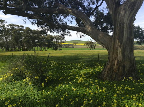 Clare Valley Cabins - Events Australia 1