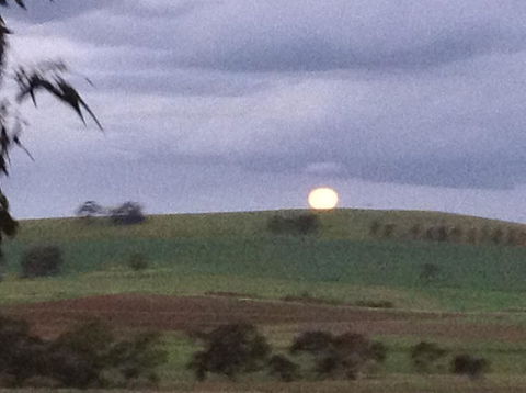 Clare Valley Cabins - Events Australia 41