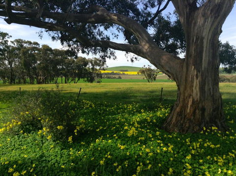 Clare Valley Cabins - Events Australia 21