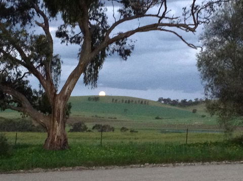 Clare Valley Cabins - Events Australia 10