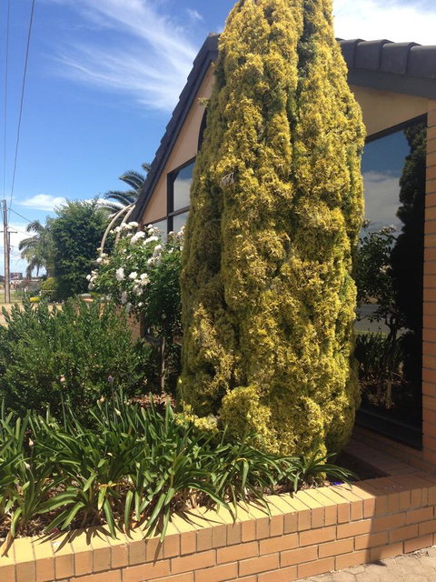 Aviators Lodge - Events Australia 9