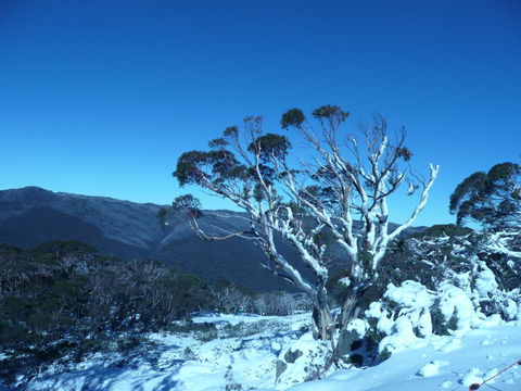 CHILL-OUT - Thredbo - Events Australia 33