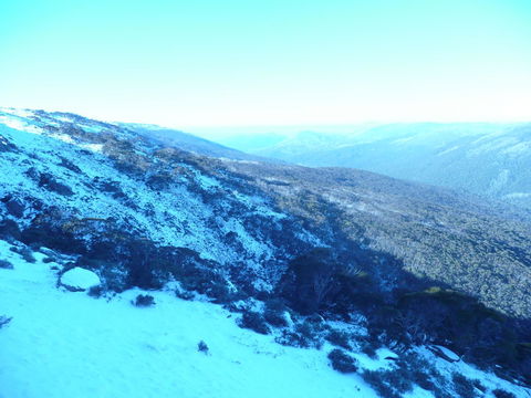 CHILL-OUT - Thredbo - Events Australia 39