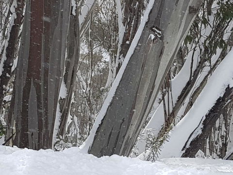 CHILL-OUT - Thredbo - Events Australia 30