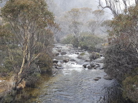 CHILL-OUT - Thredbo - Events Australia 23