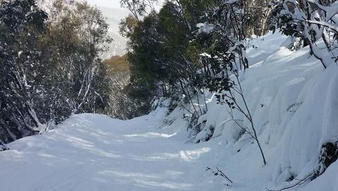 CHILL-OUT - Thredbo - Events Australia 17