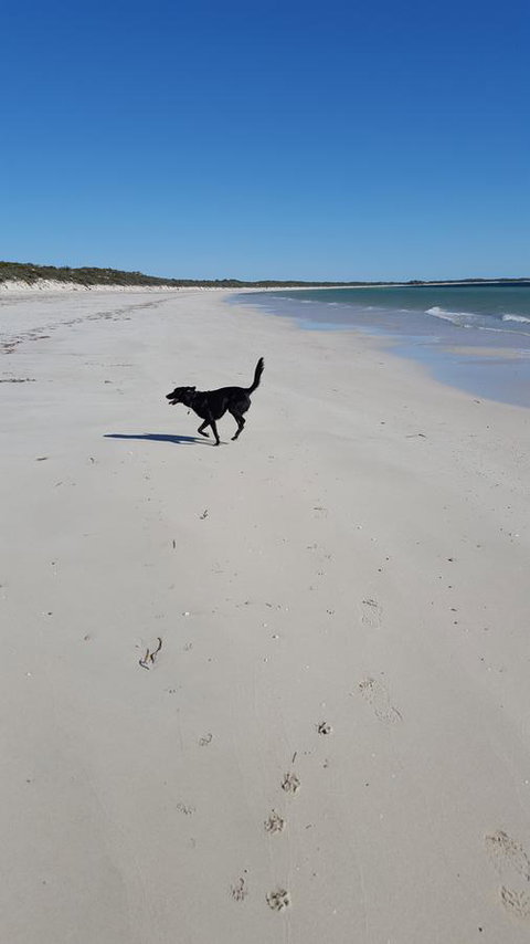 Cosy Nook - Events Australia 39