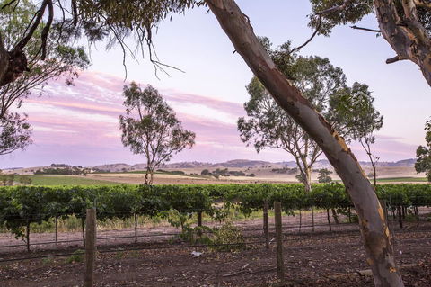 Jasmine\'s Barossa Valley Cottage - Events Australia 19