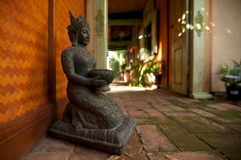 The Lotus Eater - Events Australia 7