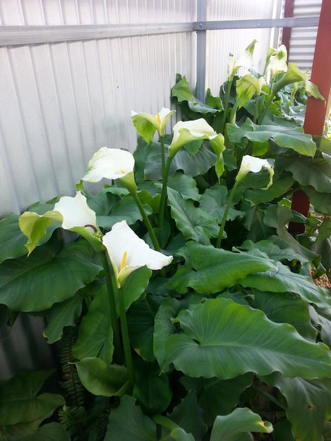 Addies Place Goolwa - Events Australia 11