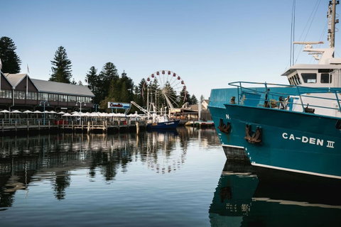 Oceanside 23 - Tourism Bookings 25