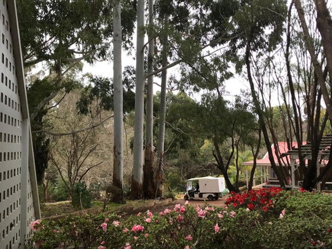Forest Lodge Resort - Tourism Bookings 11