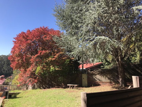 Forest Lodge Resort - Tourism Bookings 42