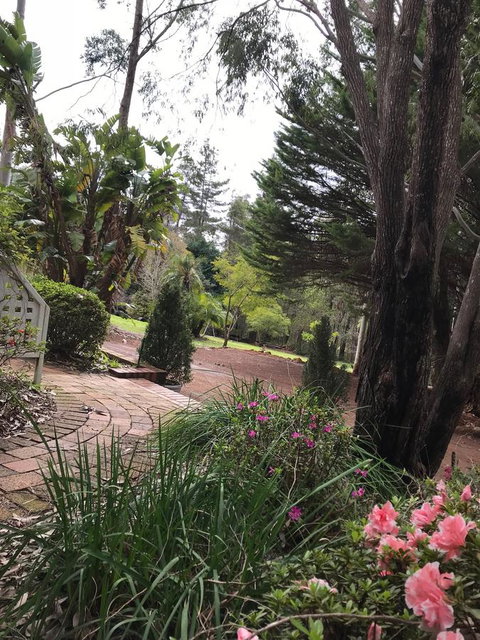 Forest Lodge Resort - Tourism Bookings 10
