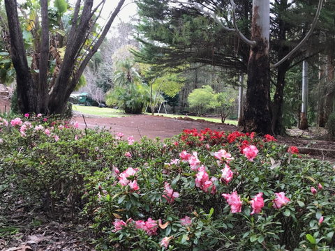 Forest Lodge Resort - Tourism Bookings 12