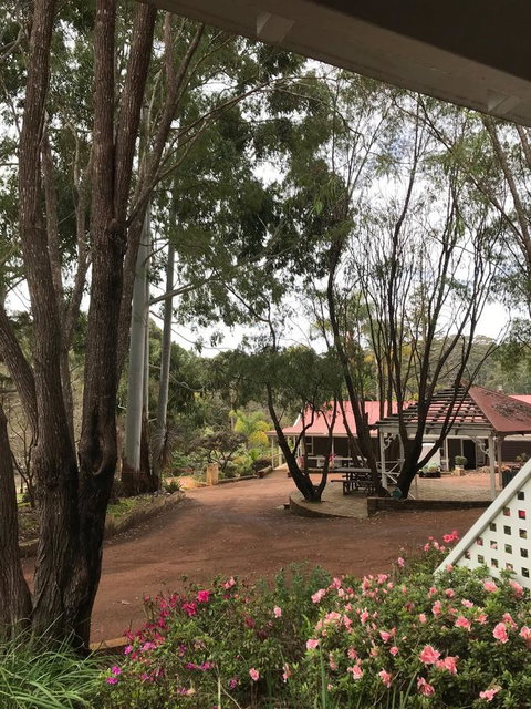 Forest Lodge Resort - Tourism Bookings 9