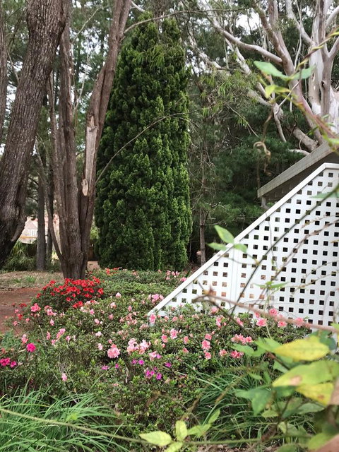 Forest Lodge Resort - Tourism Bookings 7