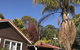 Forest Lodge Resort - thumb 40