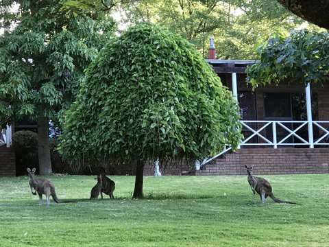 Forest Lodge Resort - Tourism Bookings 1