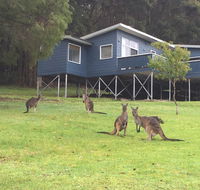 Blue House Denmark - Events Australia