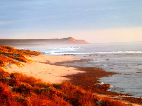 Kanga Cottage - Events Australia 26