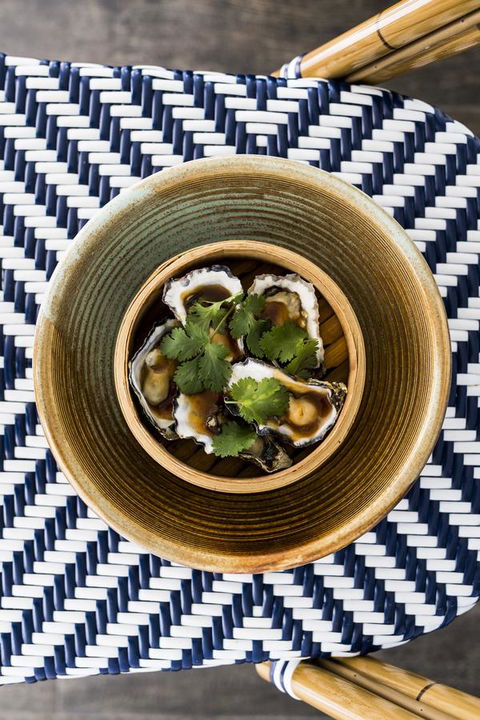 Anchorage Port Stephens - Tourism Bookings 16