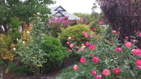 Glenelg On King Bed & Breakfast - Tourism Bookings 15
