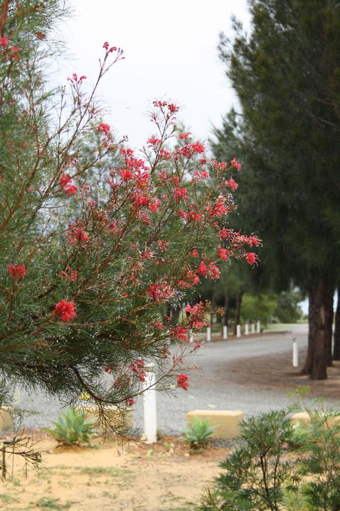 The Heights Bed & Breakfast - Tourism Bookings 0