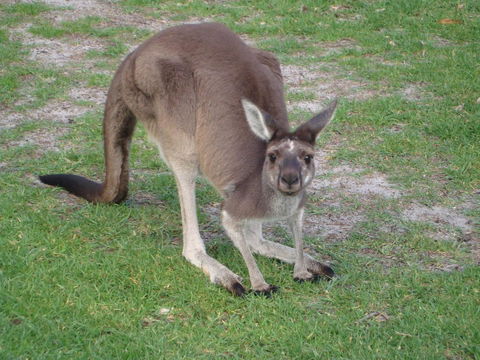 Bella Bali Gardens - Events Australia 39