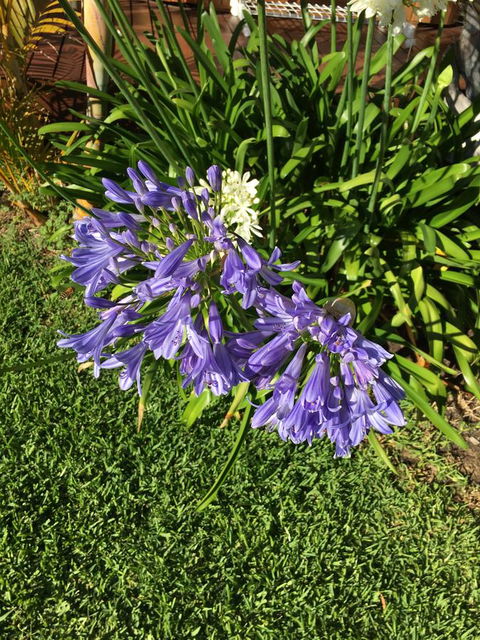 Bella Bali Gardens - Events Australia 21